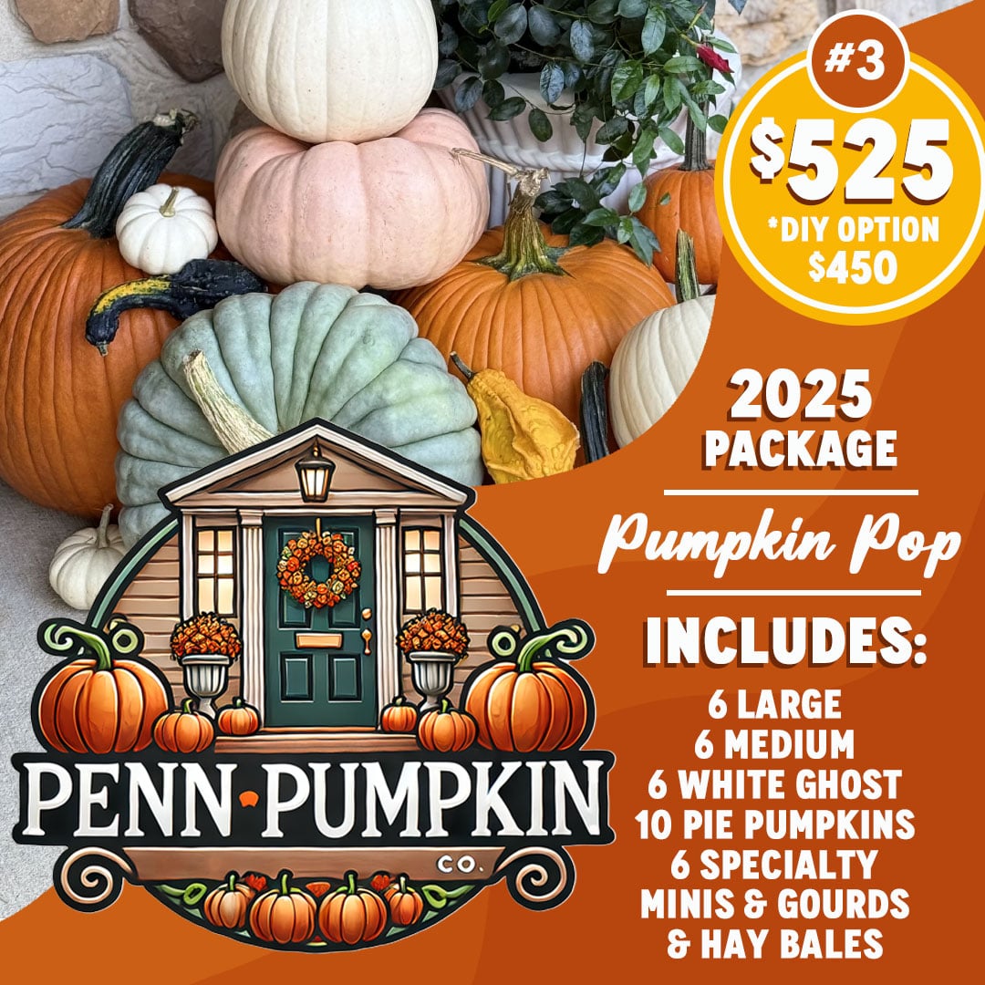 Package 3: Pumpkin Pop