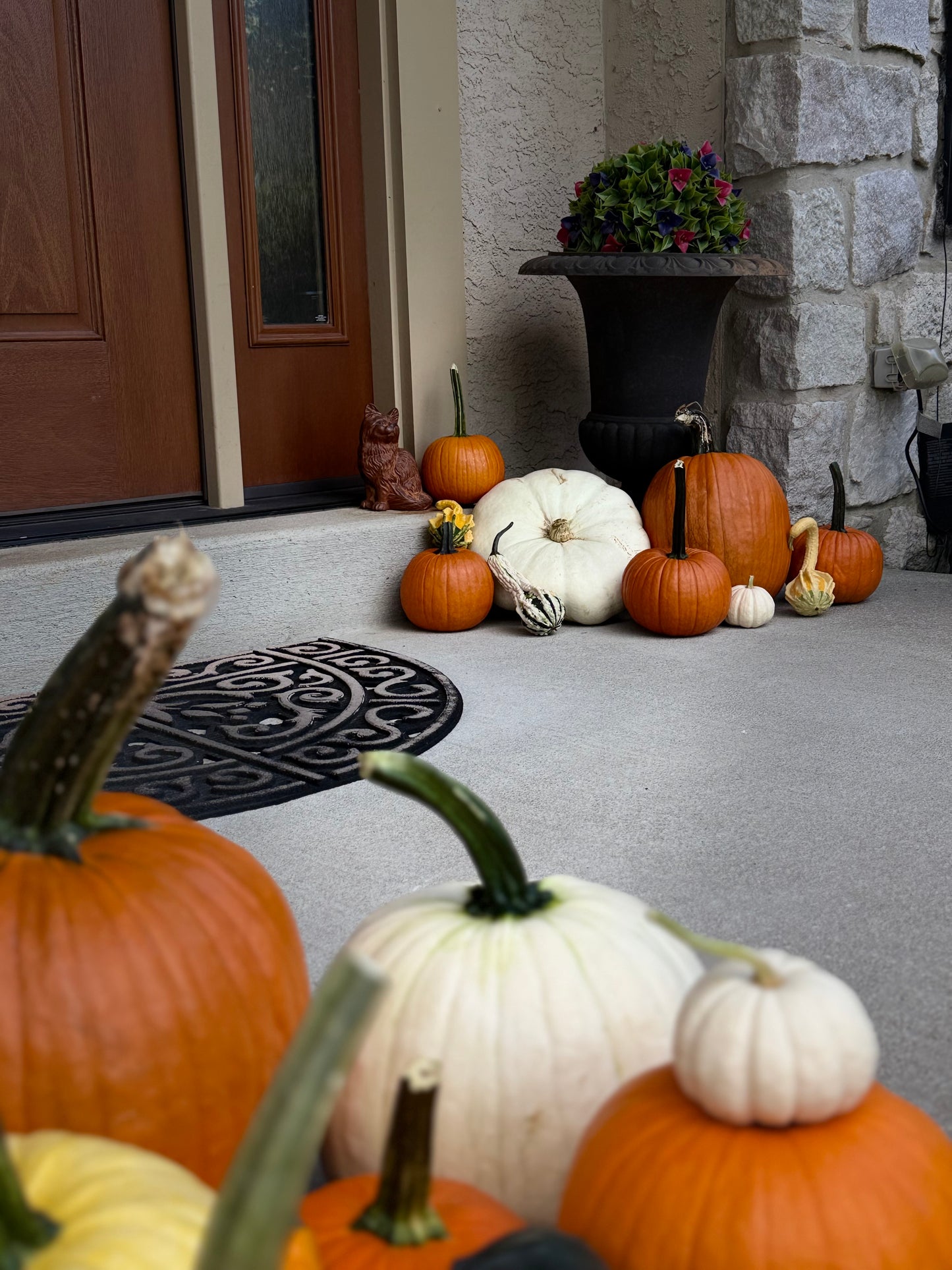 Package 4: A Touch of Fall