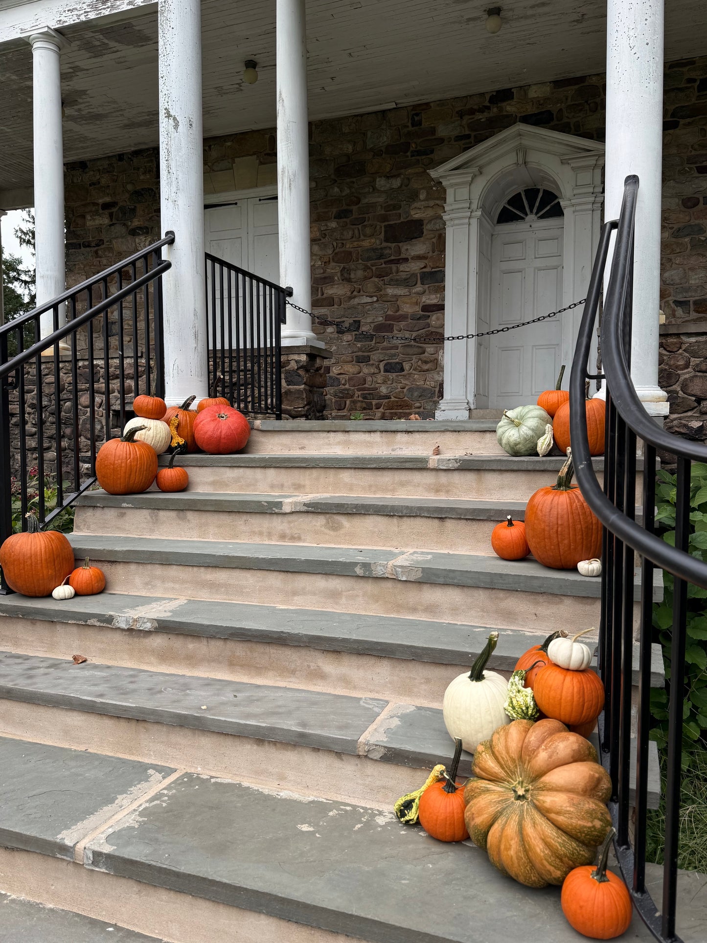 Package 4: A Touch of Fall