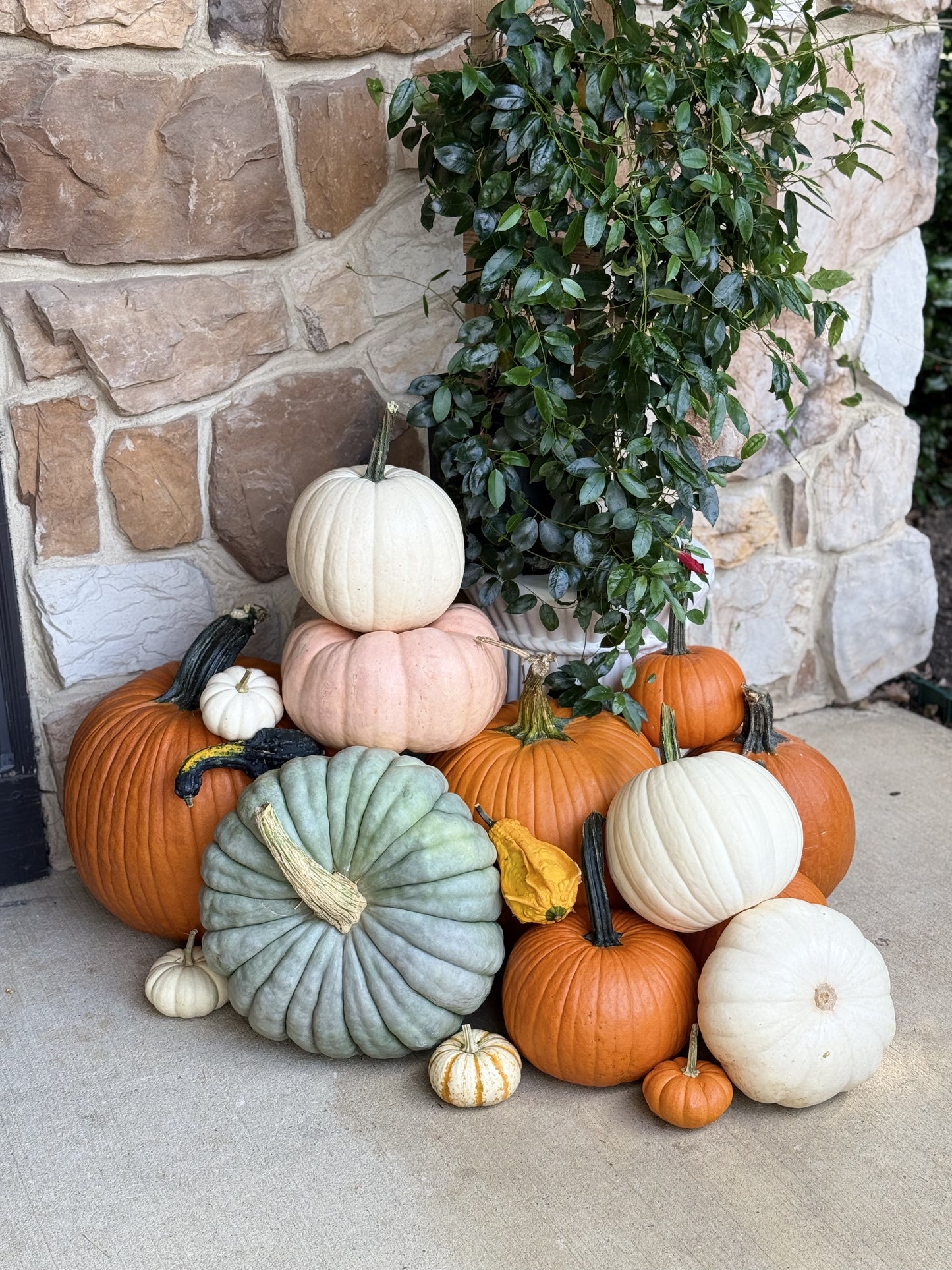 Package 4: A Touch of Fall