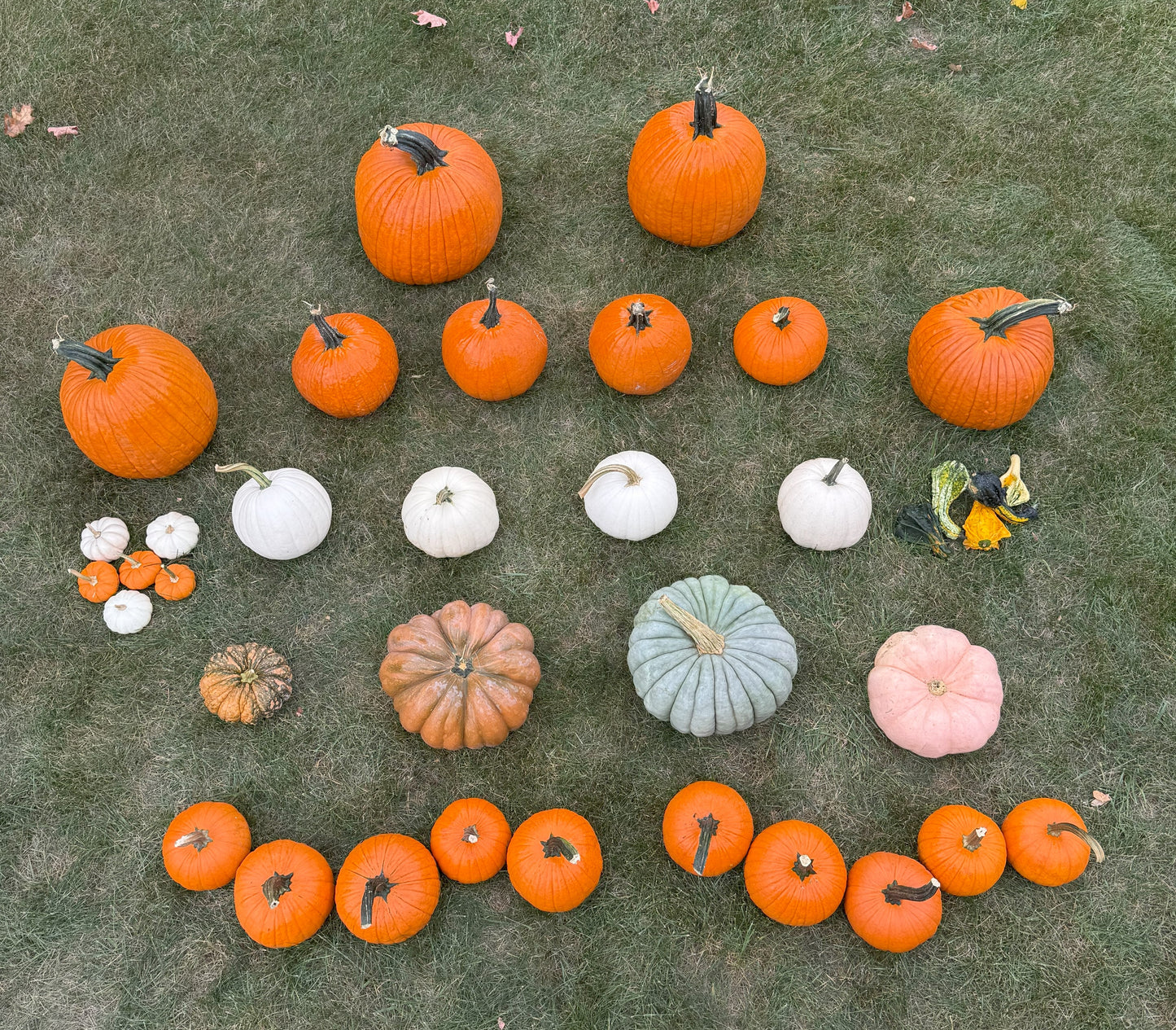 Package 4: A Touch of Fall