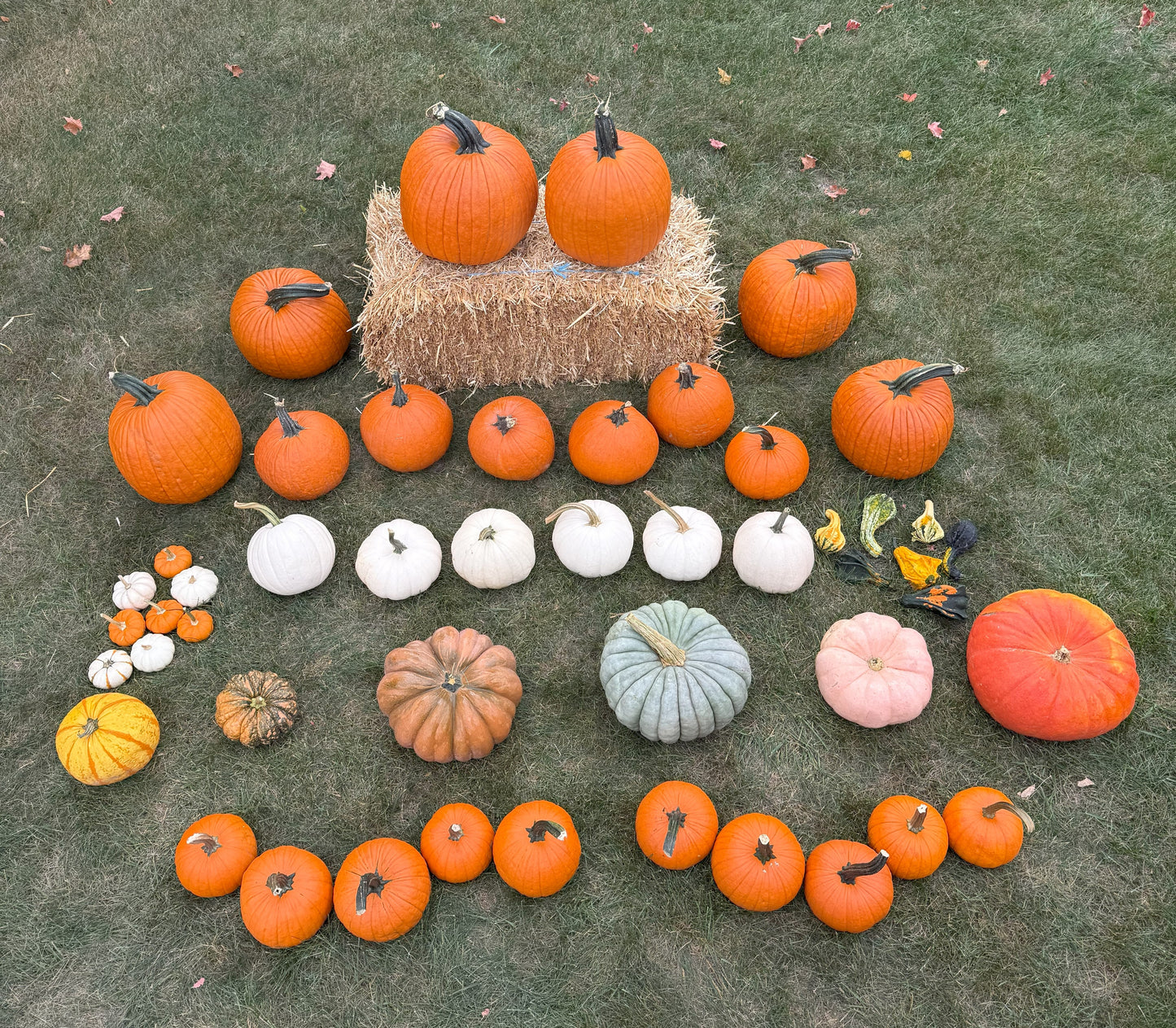 Package 3: Pumpkin Pop