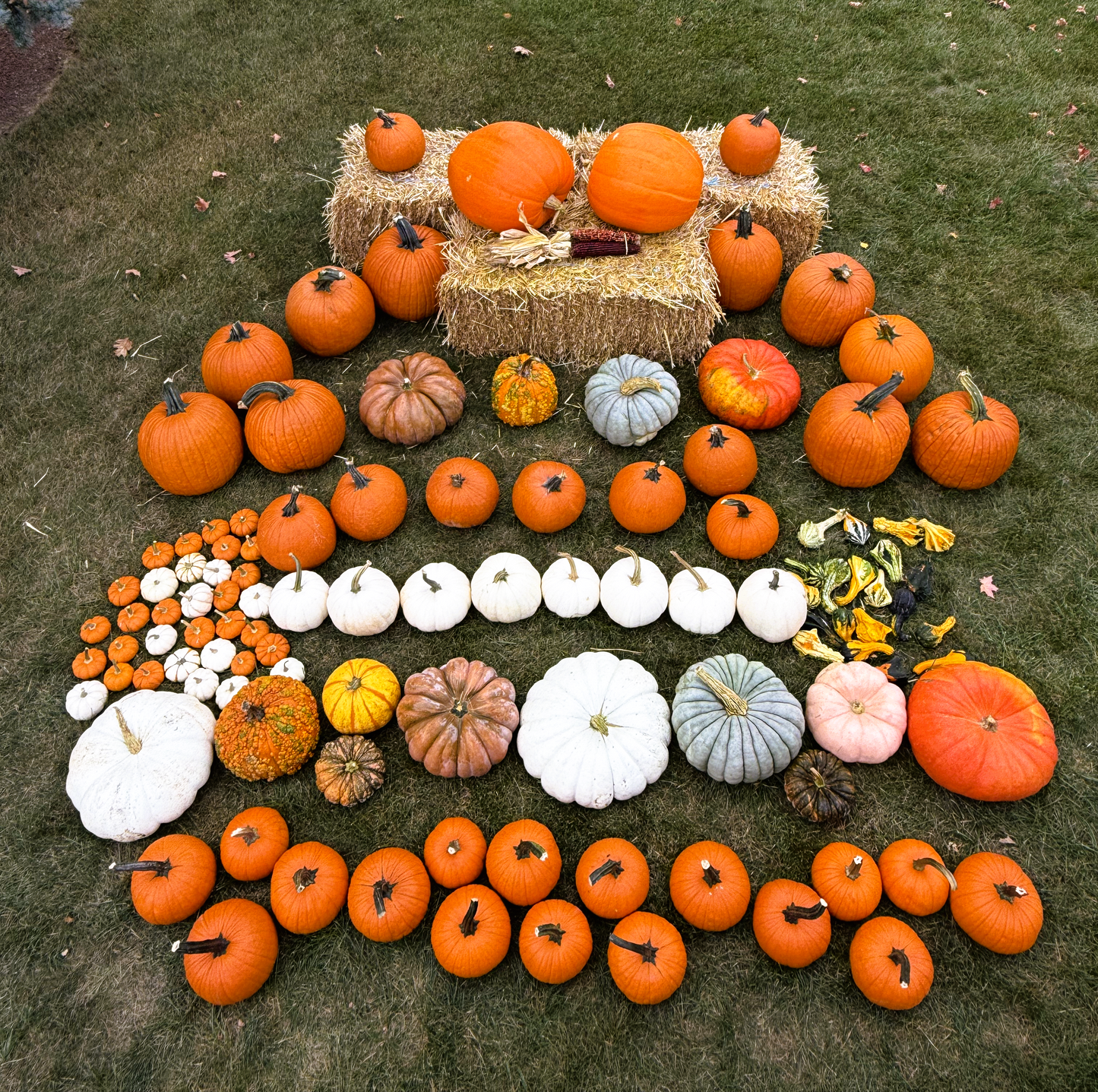 Package 1: Pumpkin Palooza