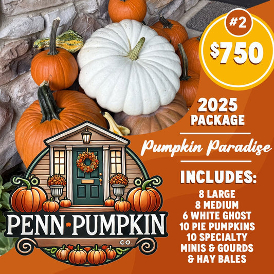 Package 2: Pumpkin Paradise