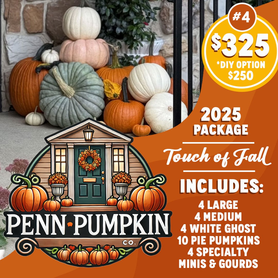 Package 4: A Touch of Fall
