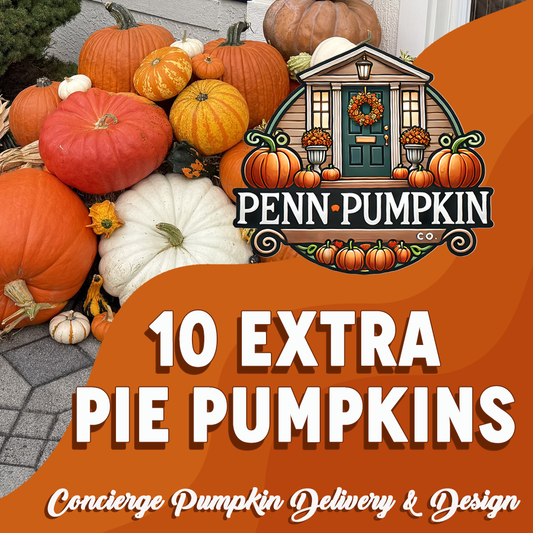 10 Extra PIE Pumpkins