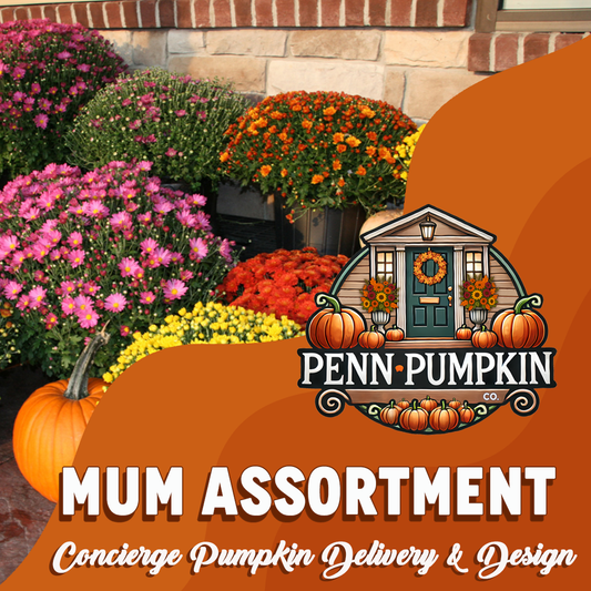 Mum Assortment